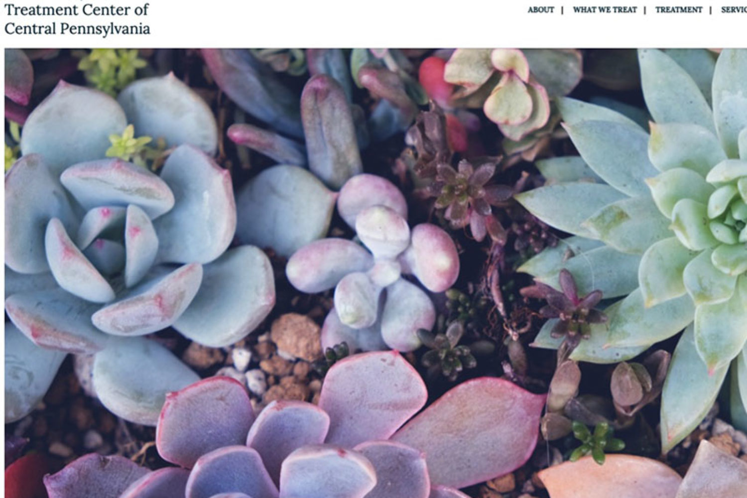 therapy website demo