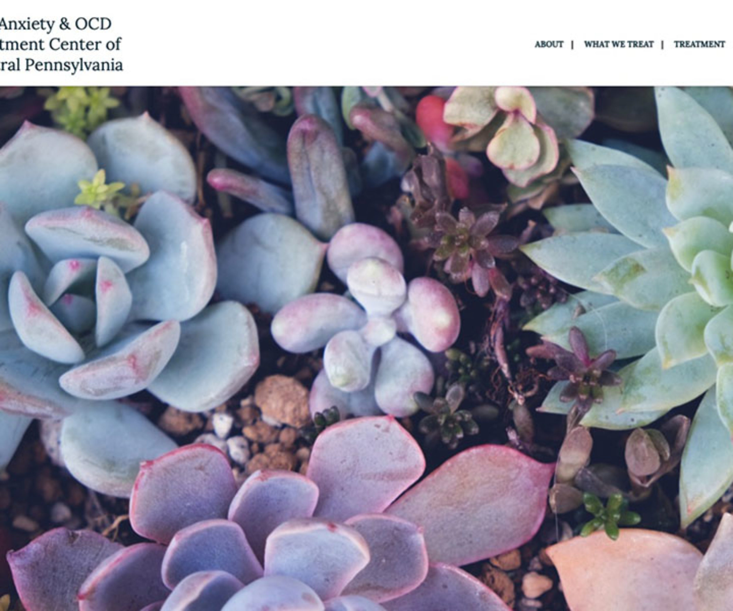 therapy website demo